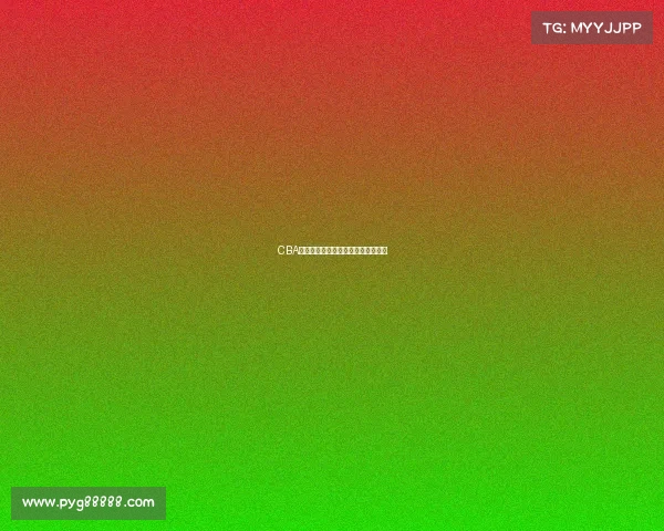 CBA退役球员的辉煌历程与未来发展探索