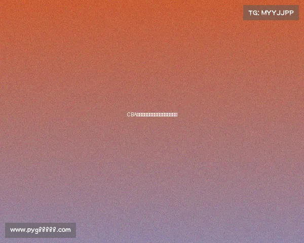 CBA退役球员的辉煌历程与未来发展探索