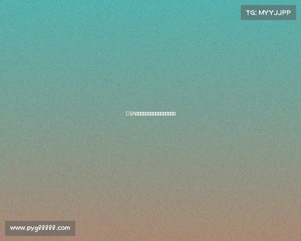 CBA退役球员的辉煌历程与未来发展探索